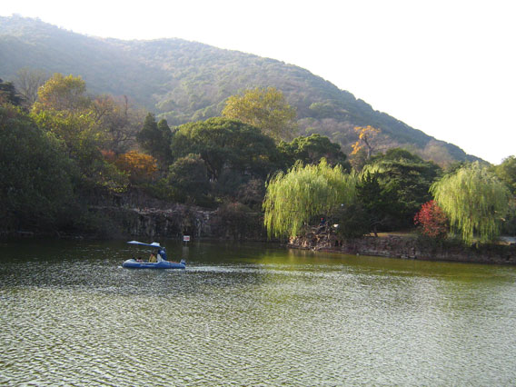映山湖